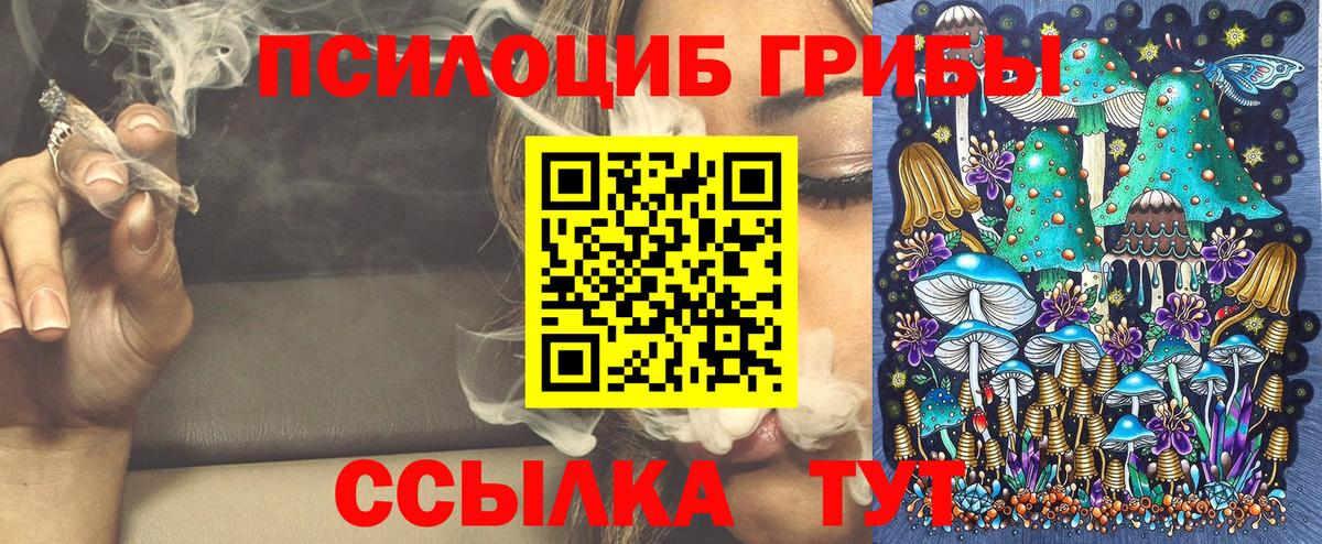 Галлюциногенные грибы Psilocybe Калуга