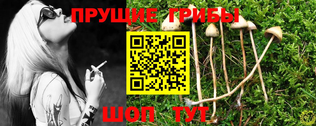 Галлюциногенные грибы Cubensis  Вход с VPN  Калуга  Псилоцибиновые грибы мицелий 